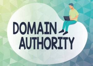 domain authority text